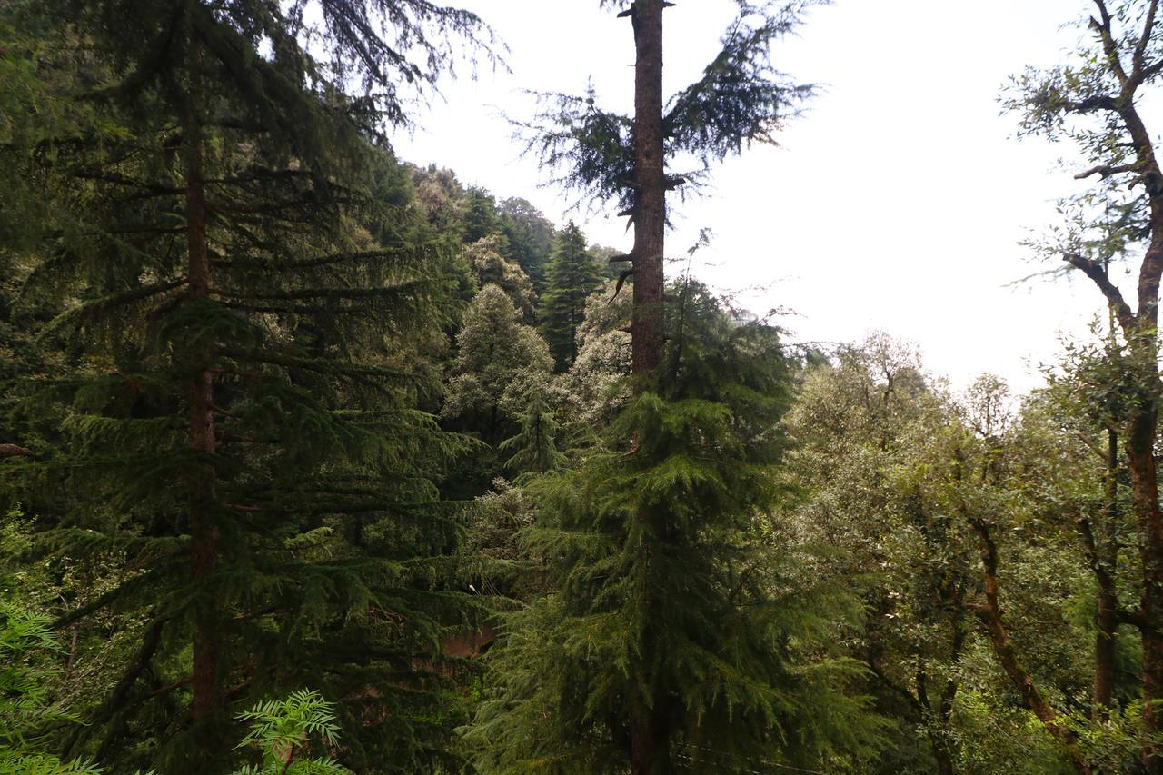 Vilasa Lall Ji Resort Dalhousie Exteriör bild